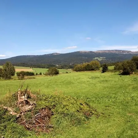 Zur Einkehr Gasthof Neureichenau